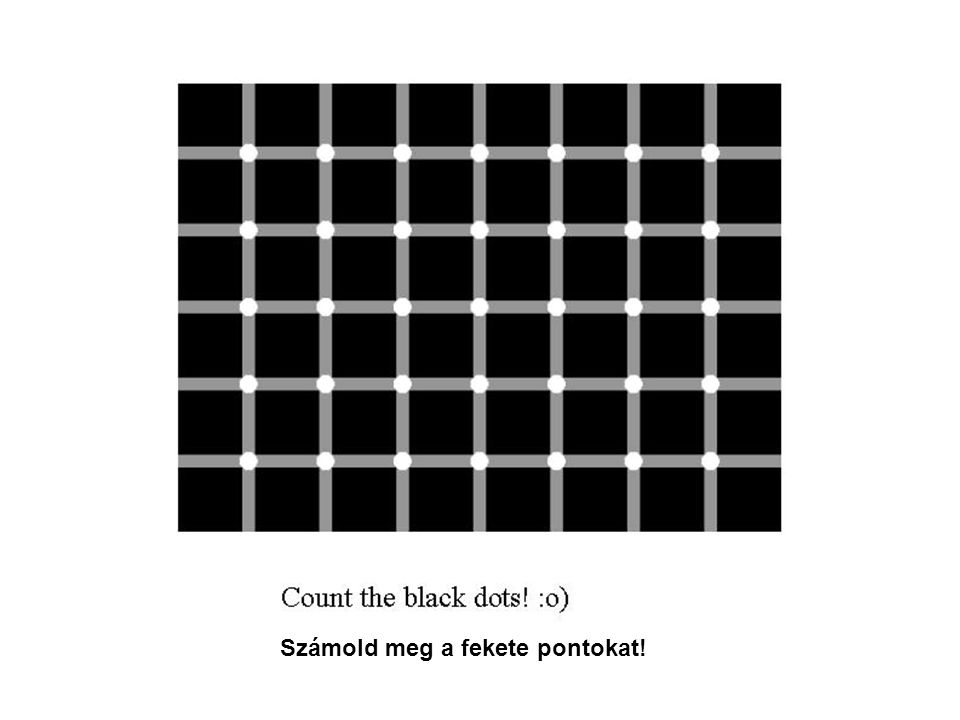 Számold meg a fekete pontokat!
