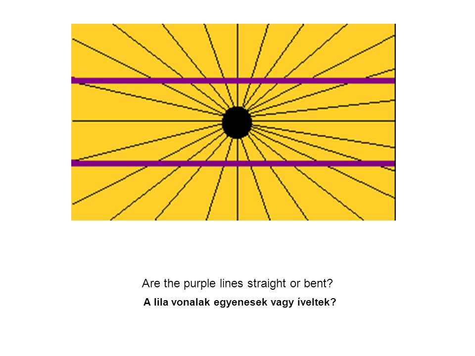 Are the purple lines straight or bent