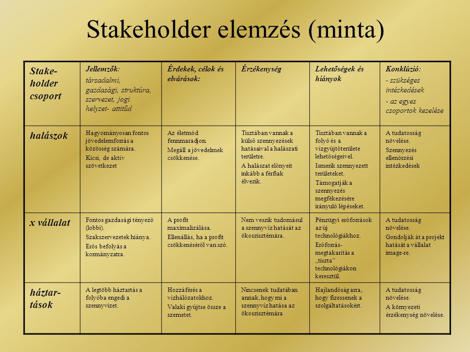Stakeholder elemzés (minta)