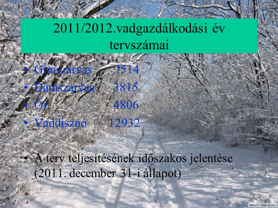 2011/2012.vadgazdálkodási év tervszámai