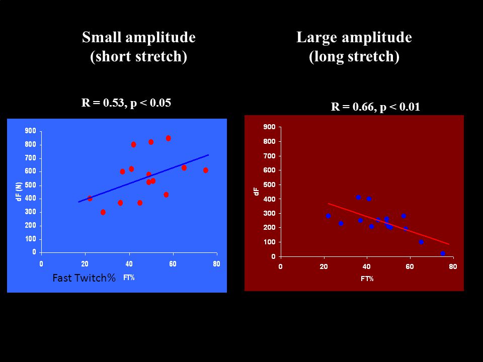 Small amplitude (short stretch) Large amplitude (long stretch)