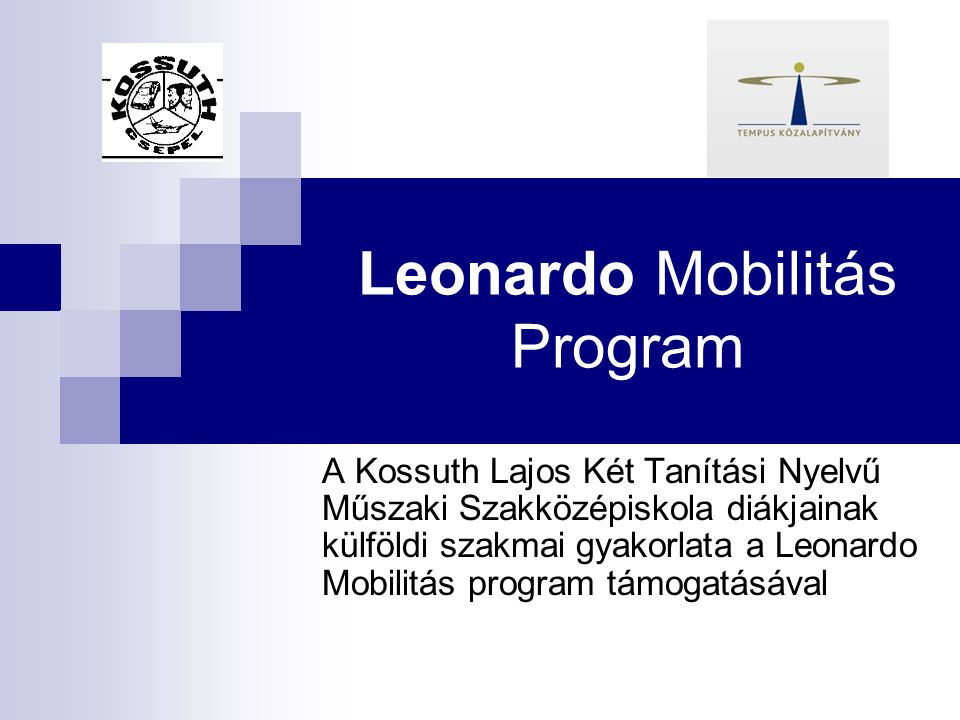 Leonardo Mobilitás Program