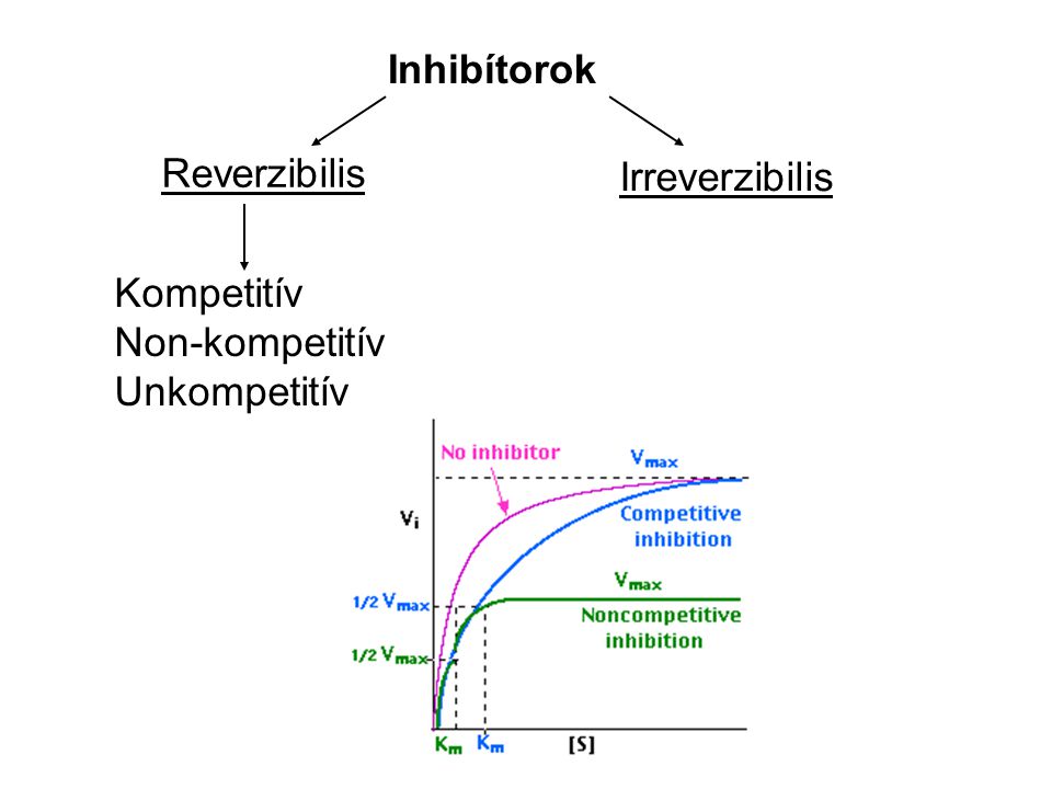 Inhibítorok Reverzibilis Irreverzibilis Kompetitív Non-kompetitív Unkompetitív