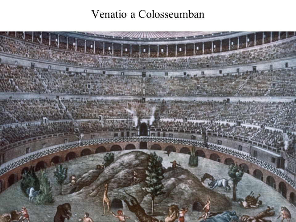 Venatio a Colosseumban