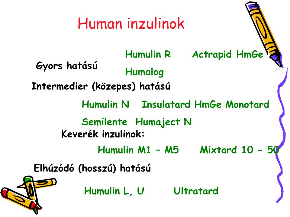 Human inzulinok Humulin R Actrapid HmGe Humalog Gyors hatású