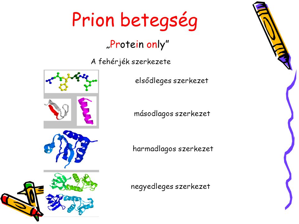 Prion betegség „Protein only A fehérjék szerkezete
