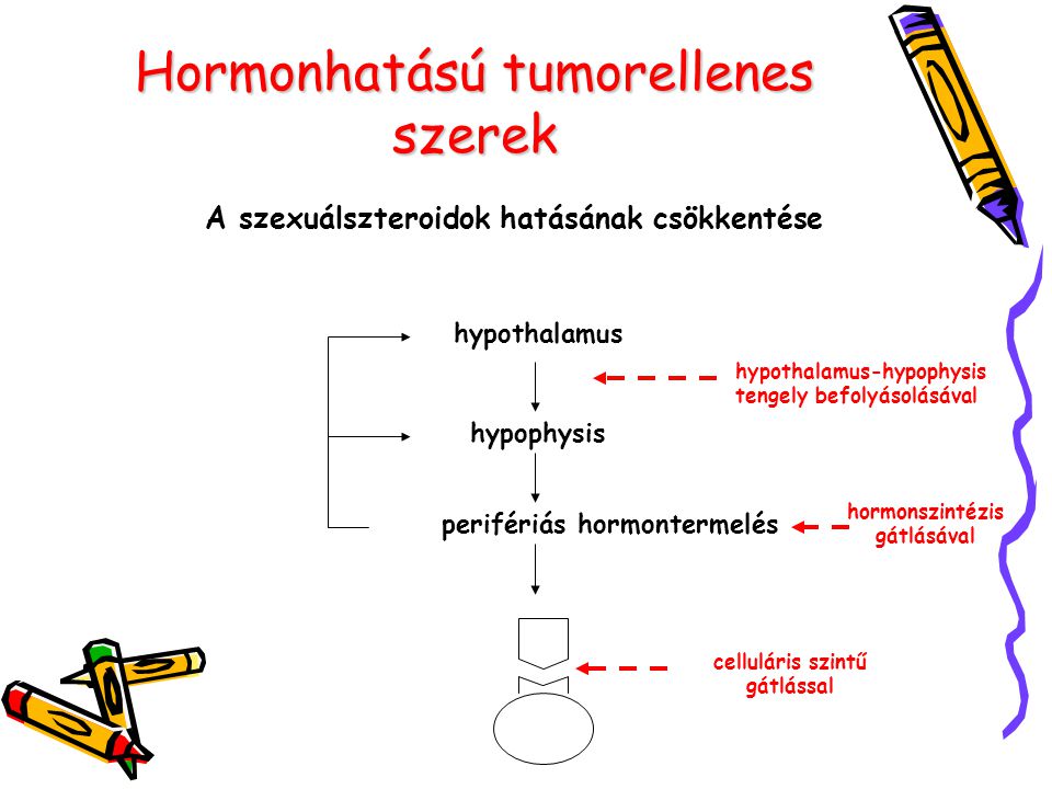 Hormonhatású tumorellenes szerek