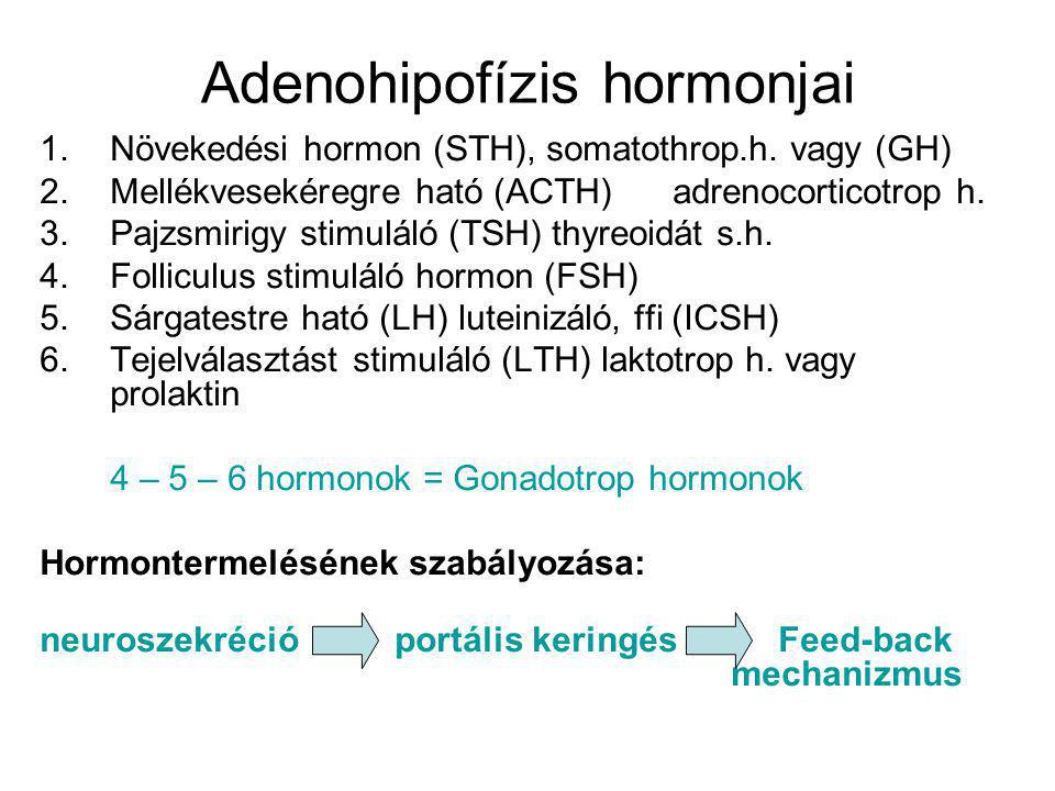 Adenohipofízis hormonjai
