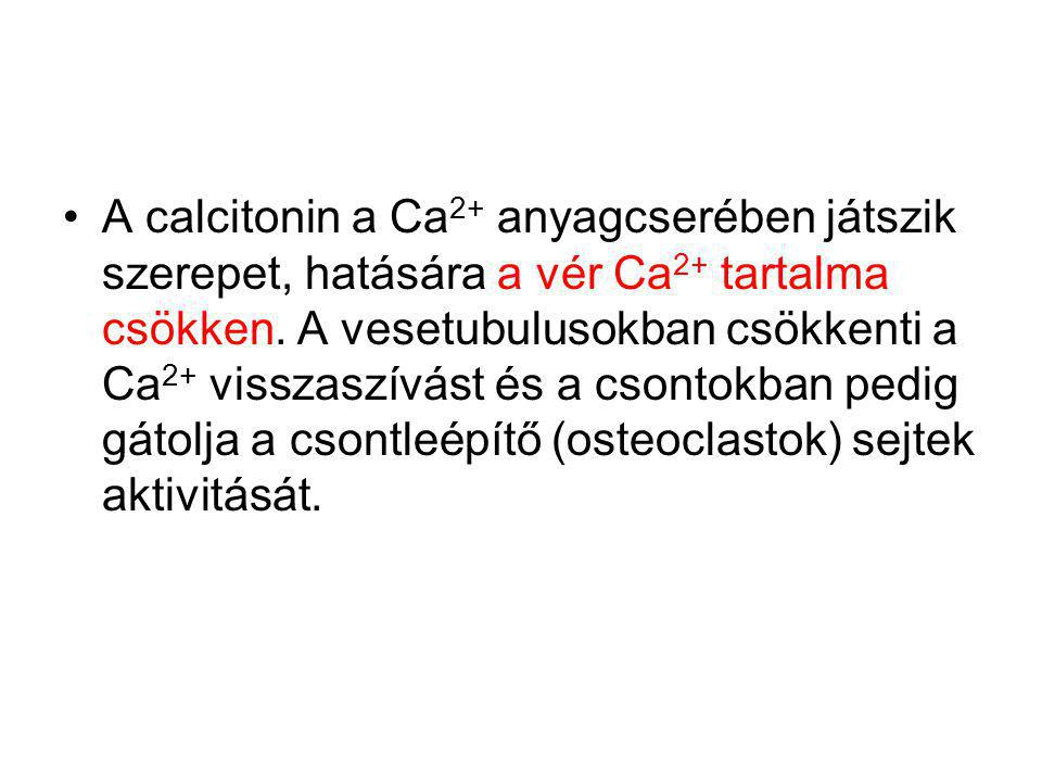 A calcitonin a Ca2+ anyagcserében játszik szerepet, hatására a vér Ca2+ tartalma csökken.