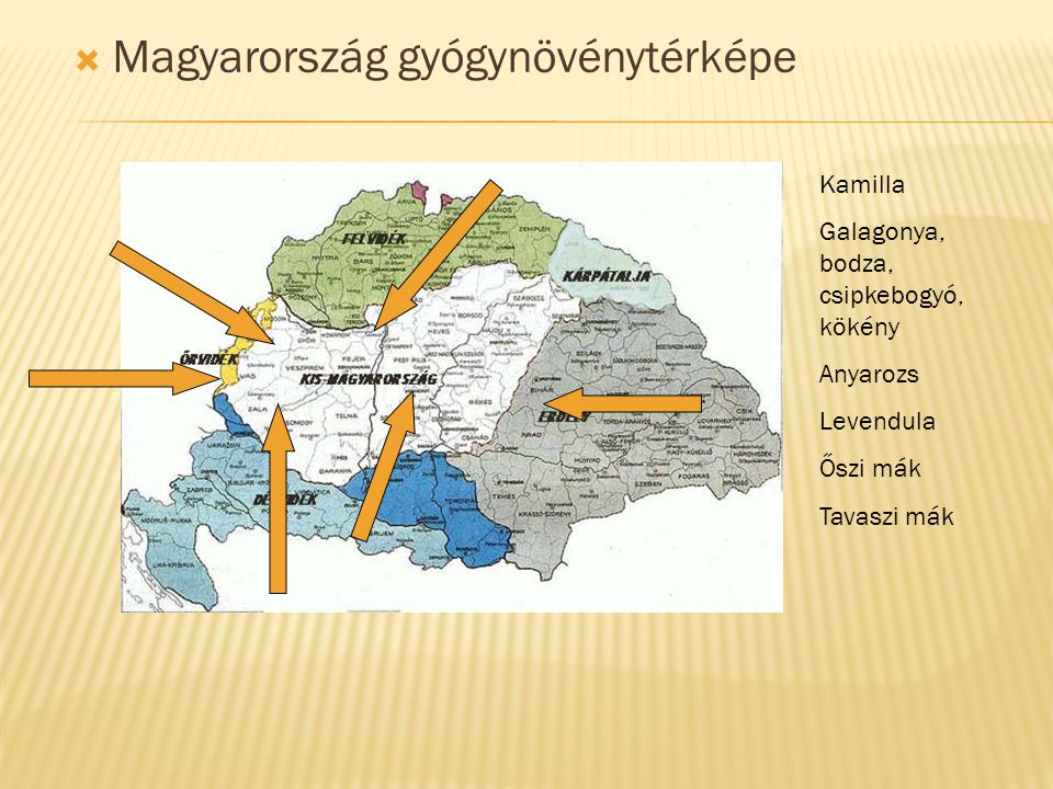 Magyarország gyógynövénytérképe