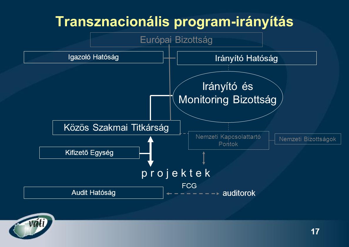 Transznacionális program-irányítás