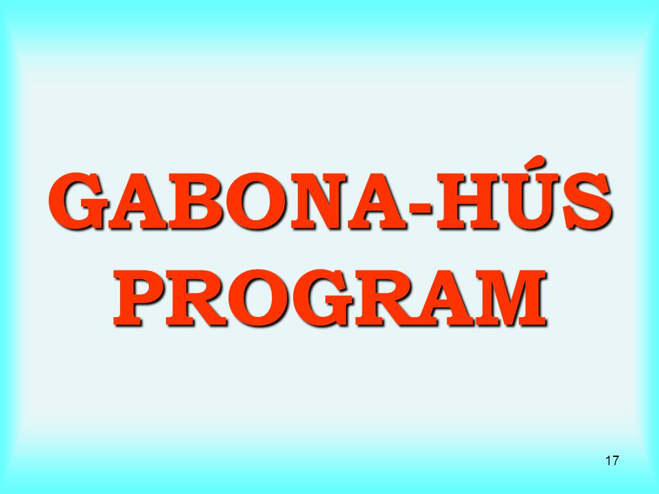 GABONA-HÚS PROGRAM