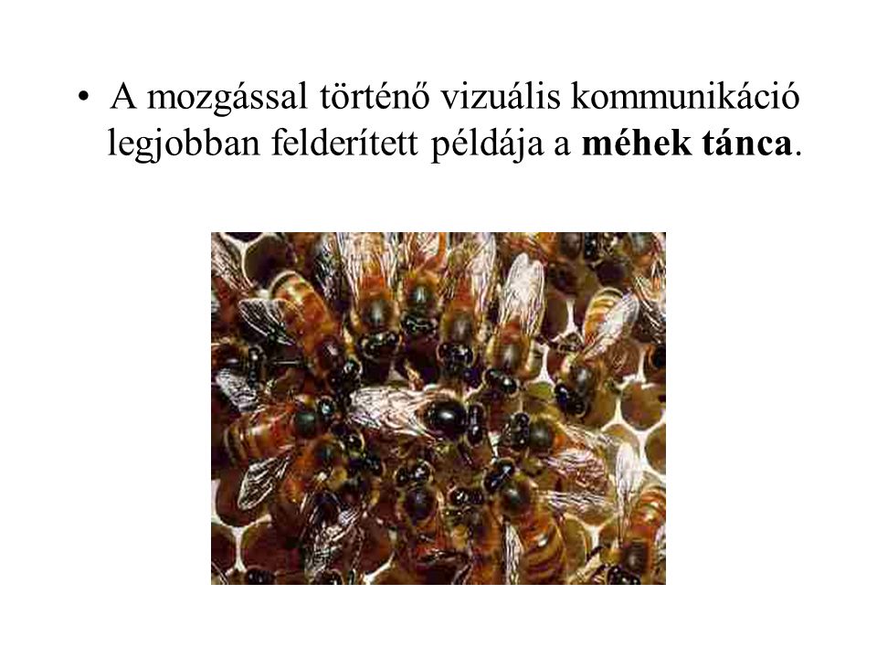 A mozgással történő vizuális kommunikáció legjobban felderített példája a méhek tánca.