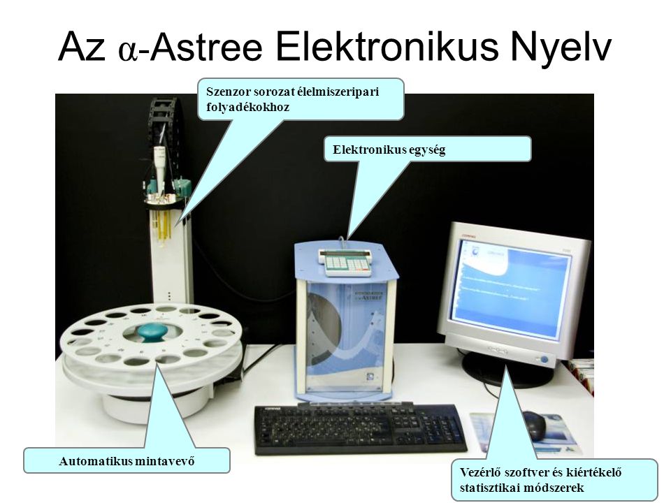 Az α-Astree Elektronikus Nyelv