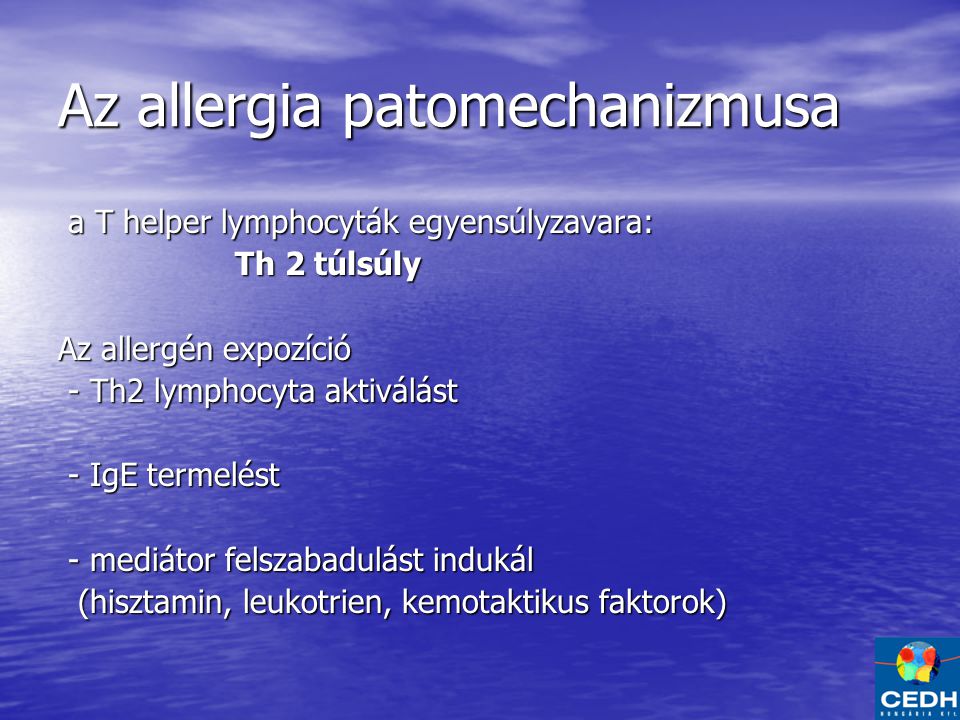 Az allergia patomechanizmusa