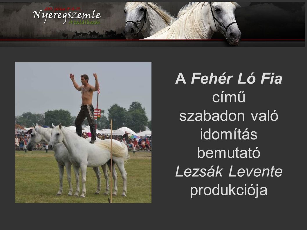A Fehér Ló Fia című szabadon való idomítás bemutató Lezsák Levente produkciója