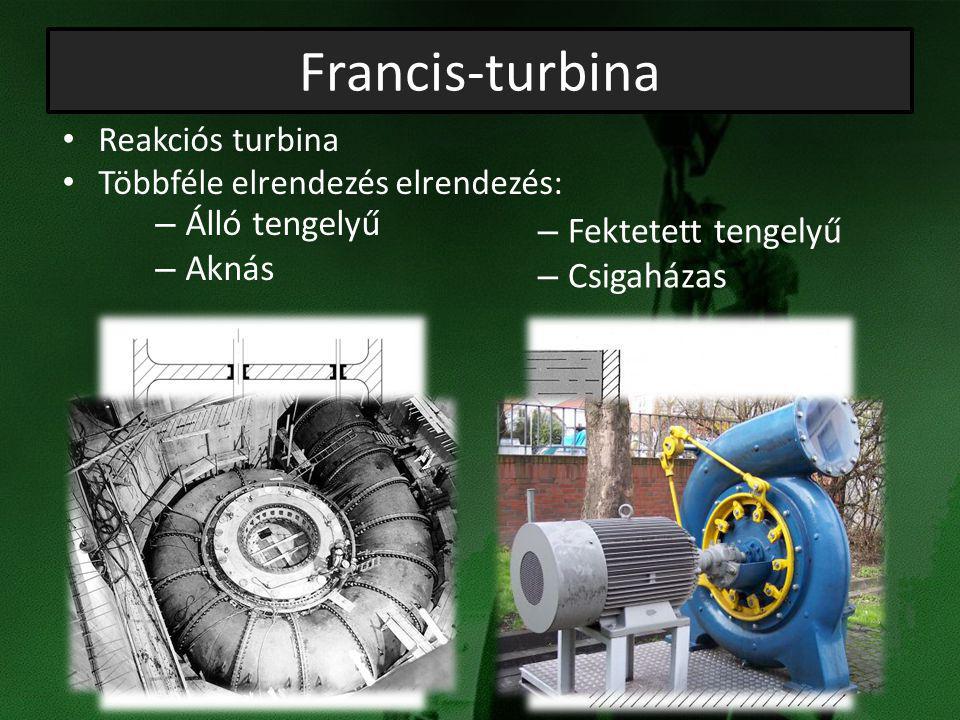 Francis-turbina Álló tengelyű Fektetett tengelyű Aknás Csigaházas