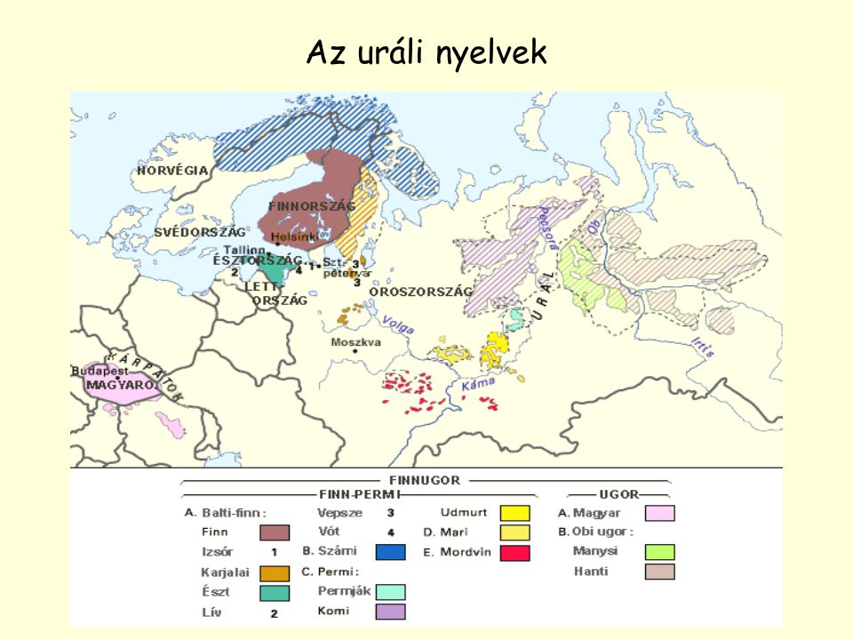 Az uráli nyelvek