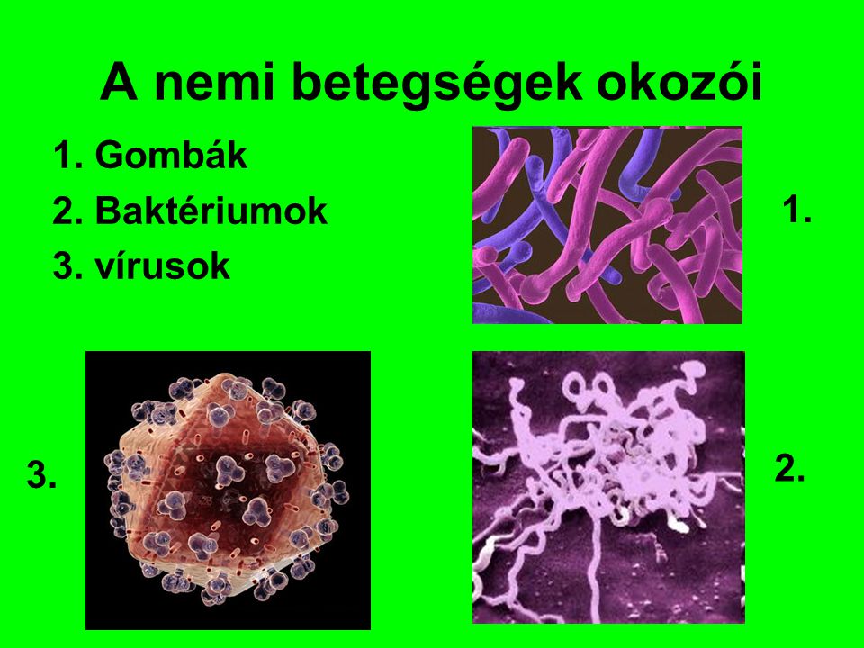 nemi úton terjedő baktériumok)