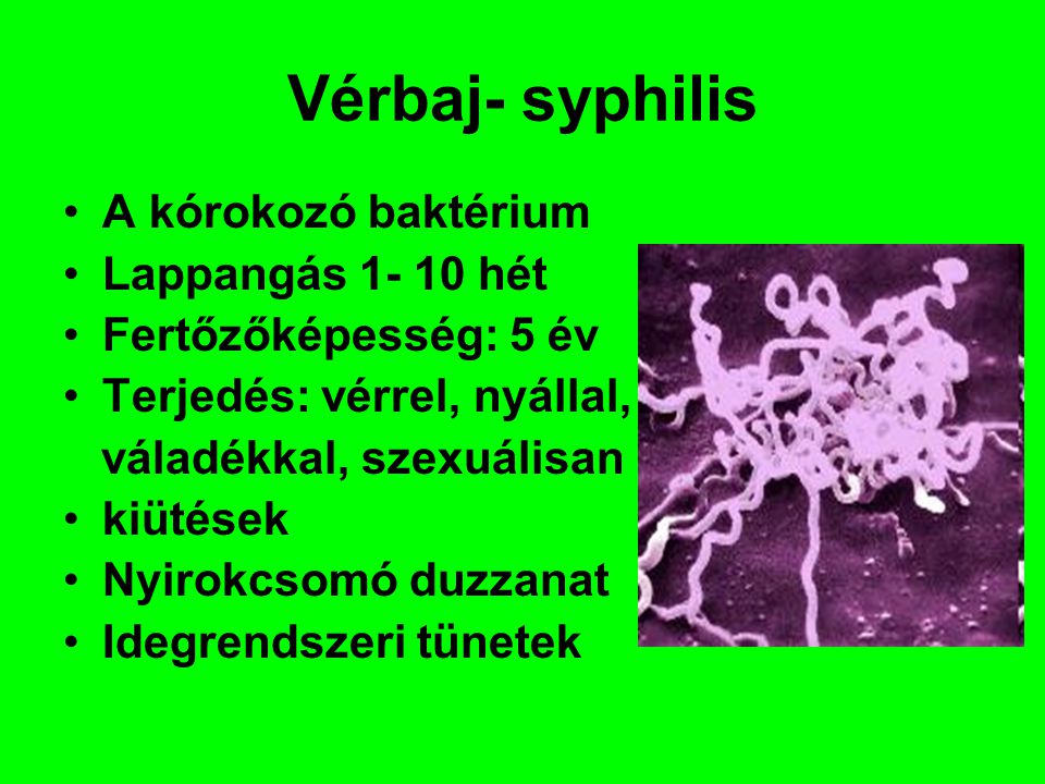 Vérbaj- syphilis A kórokozó baktérium Lappangás hét