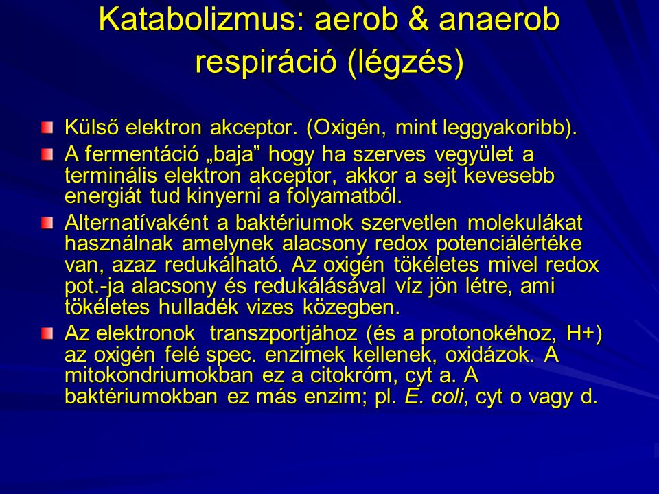 Katabolizmus: aerob & anaerob respiráció (légzés)