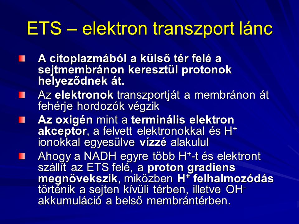 ETS – elektron transzport lánc