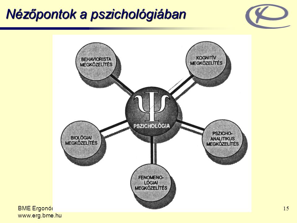 Nézőpontok a pszichológiában