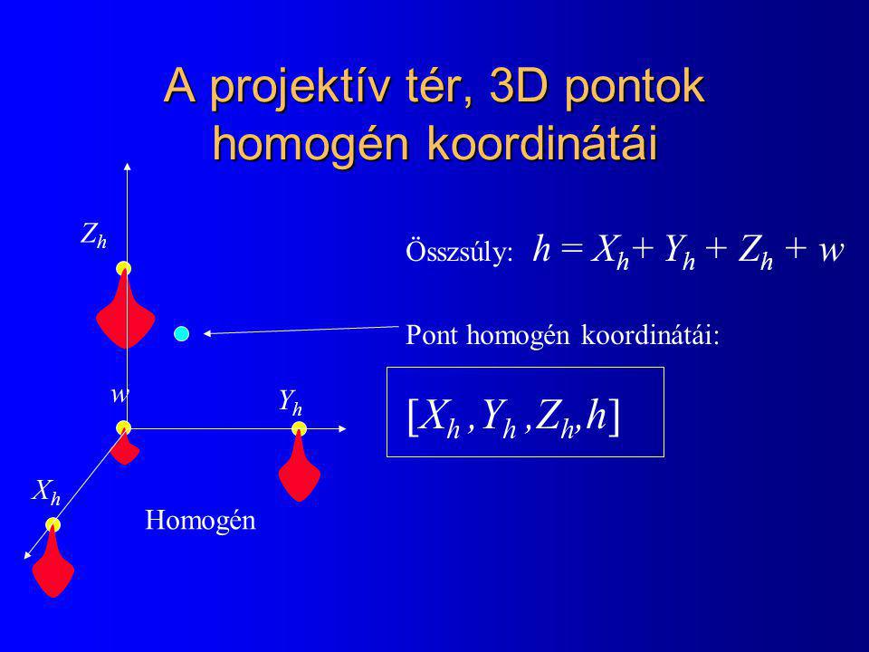 A projektív tér, 3D pontok homogén koordinátái