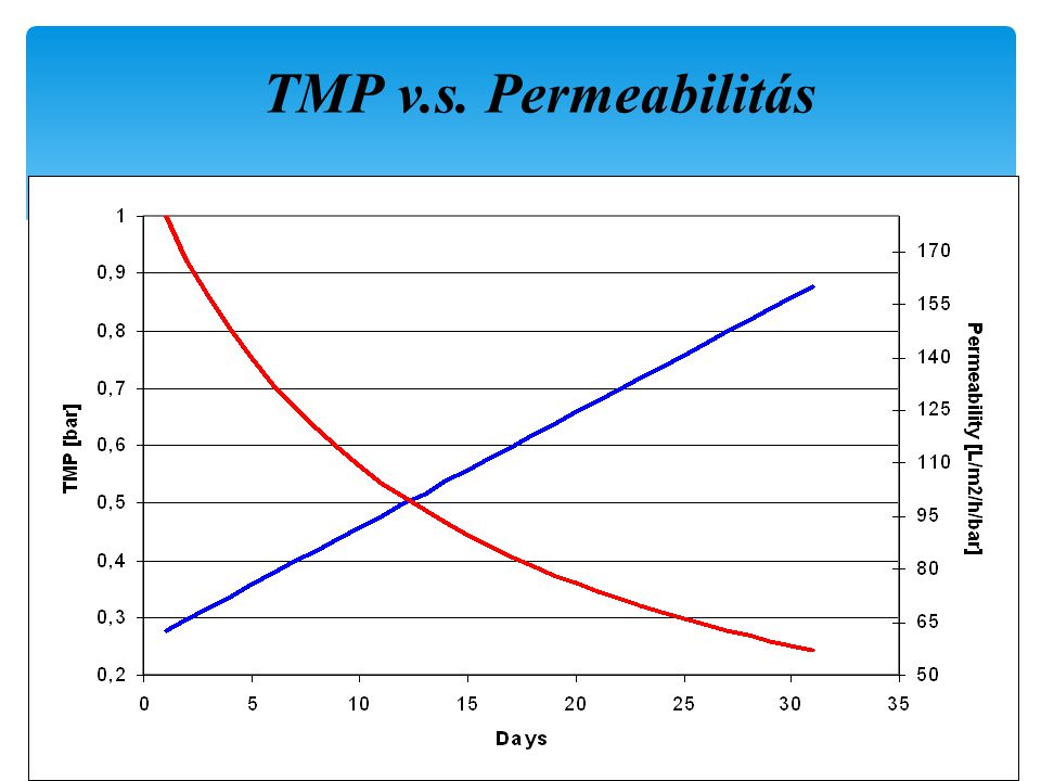 TMP v.s. Permeabilitás