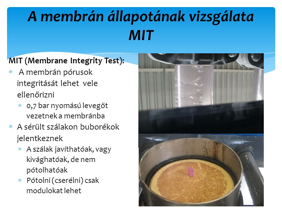 A membrán állapotának vizsgálata MIT