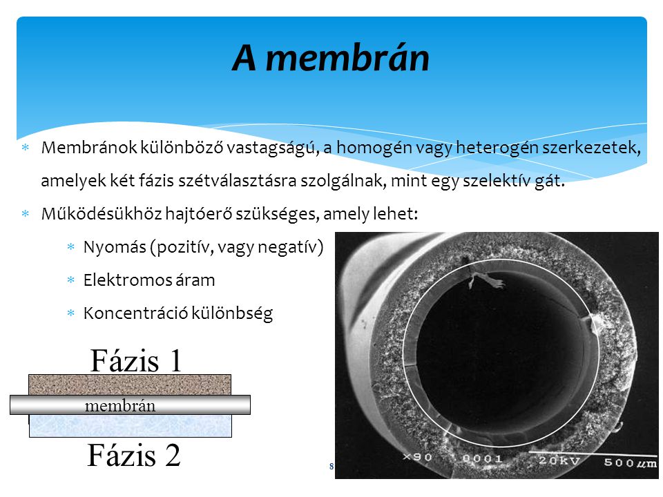 A membrán Membránok különböző vastagságú, a homogén vagy heterogén szerkezetek, amelyek két fázis szétválasztásra szolgálnak, mint egy szelektív gát.