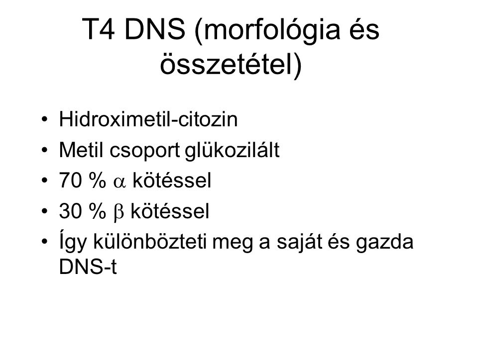 T4 DNS (morfológia és összetétel)