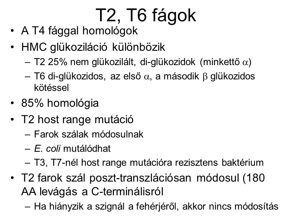 T2, T6 fágok A T4 fággal homológok HMC glükoziláció különbözik