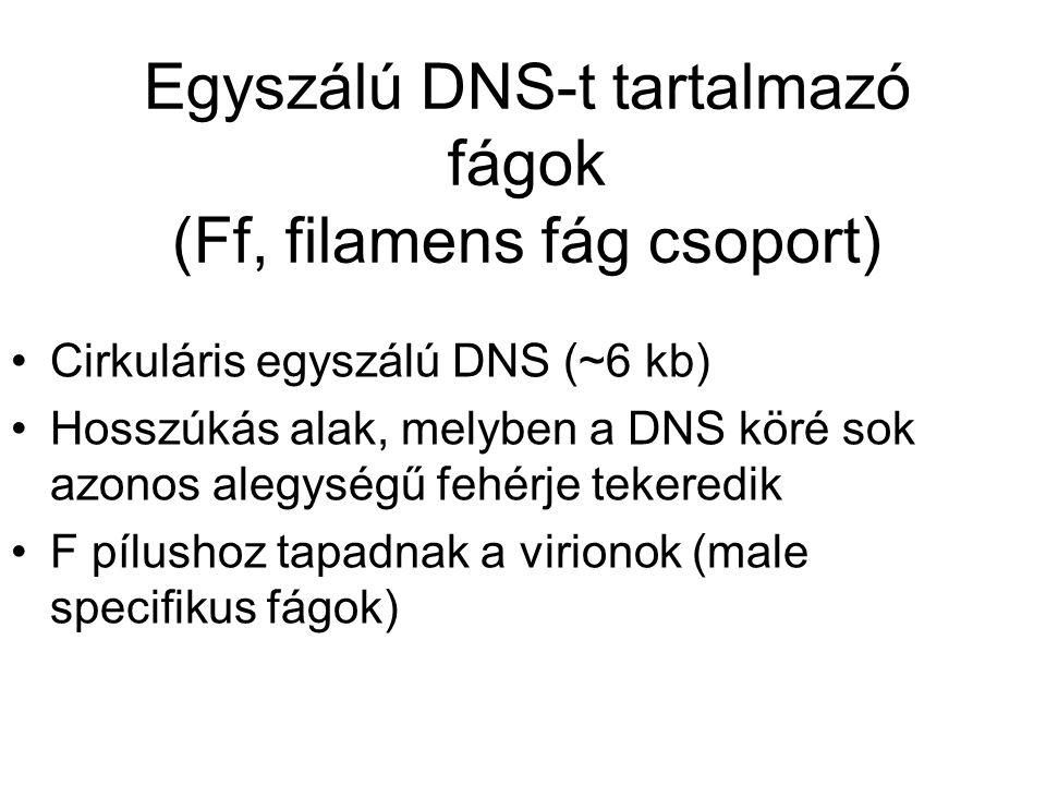 Egyszálú DNS-t tartalmazó fágok (Ff, filamens fág csoport)