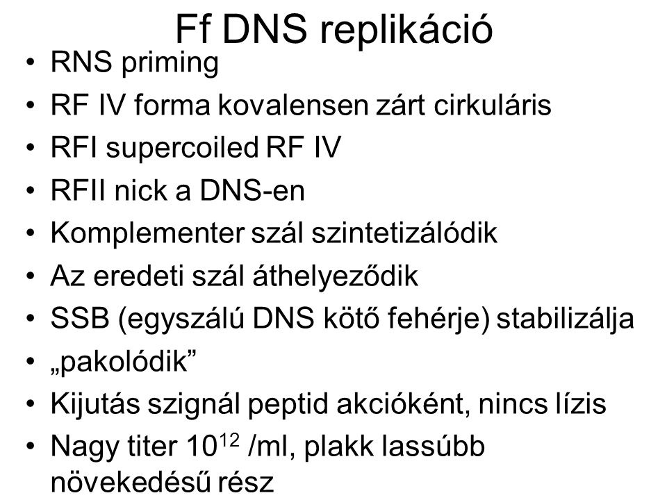 Ff DNS replikáció RNS priming RF IV forma kovalensen zárt cirkuláris