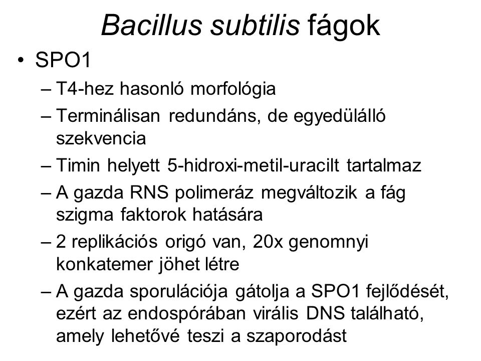 Bacillus subtilis fágok