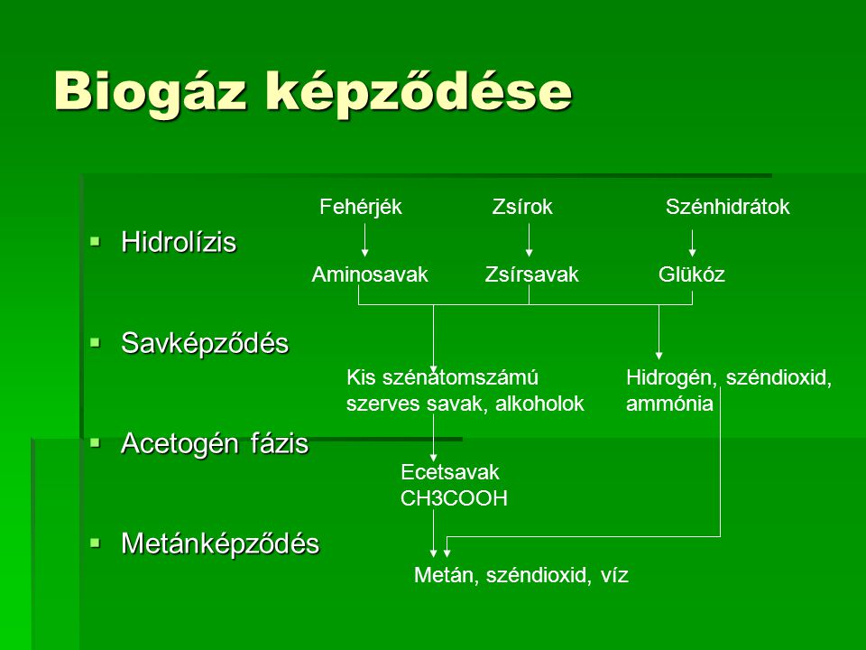Biogáz képződése Hidrolízis Savképződés Acetogén fázis Metánképződés