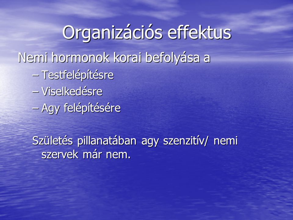 Organizációs effektus