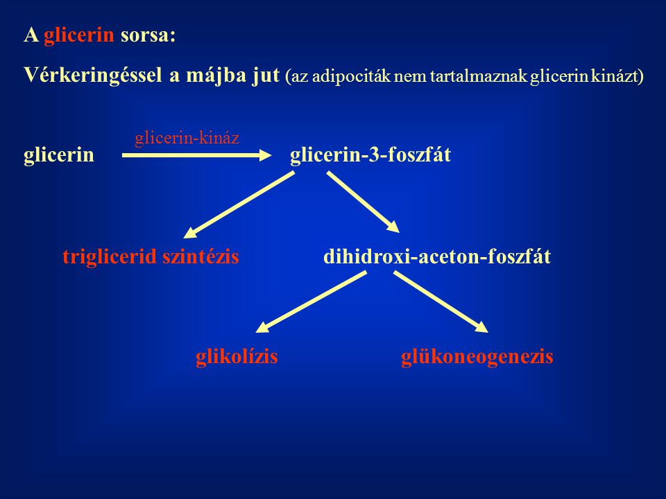 glicerin glicerin-3-foszfát