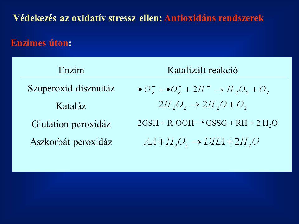 Védekezés az oxidatív stressz ellen: Antioxidáns rendszerek