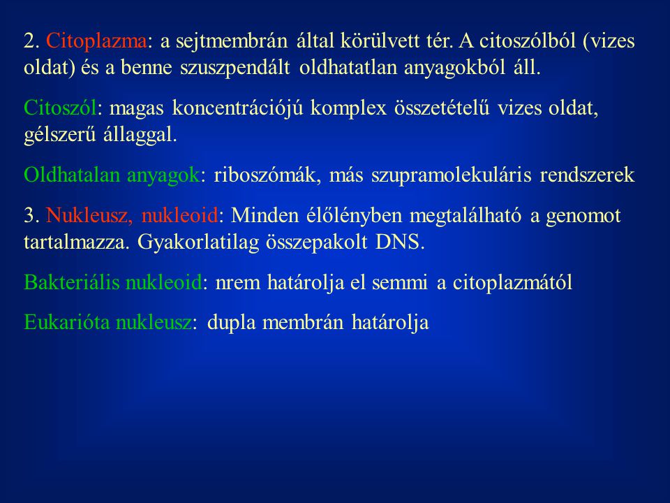 2. Citoplazma: a sejtmembrán által körülvett tér