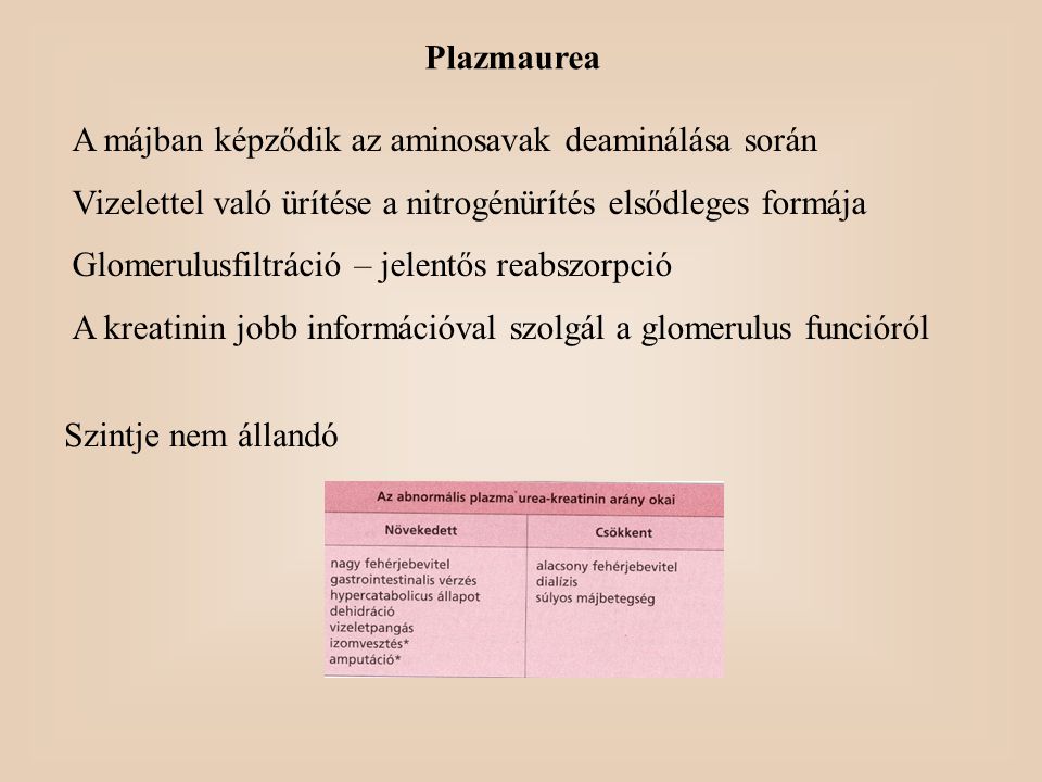 Plazmaurea A májban képződik az aminosavak deaminálása során. Vizelettel való ürítése a nitrogénürítés elsődleges formája.