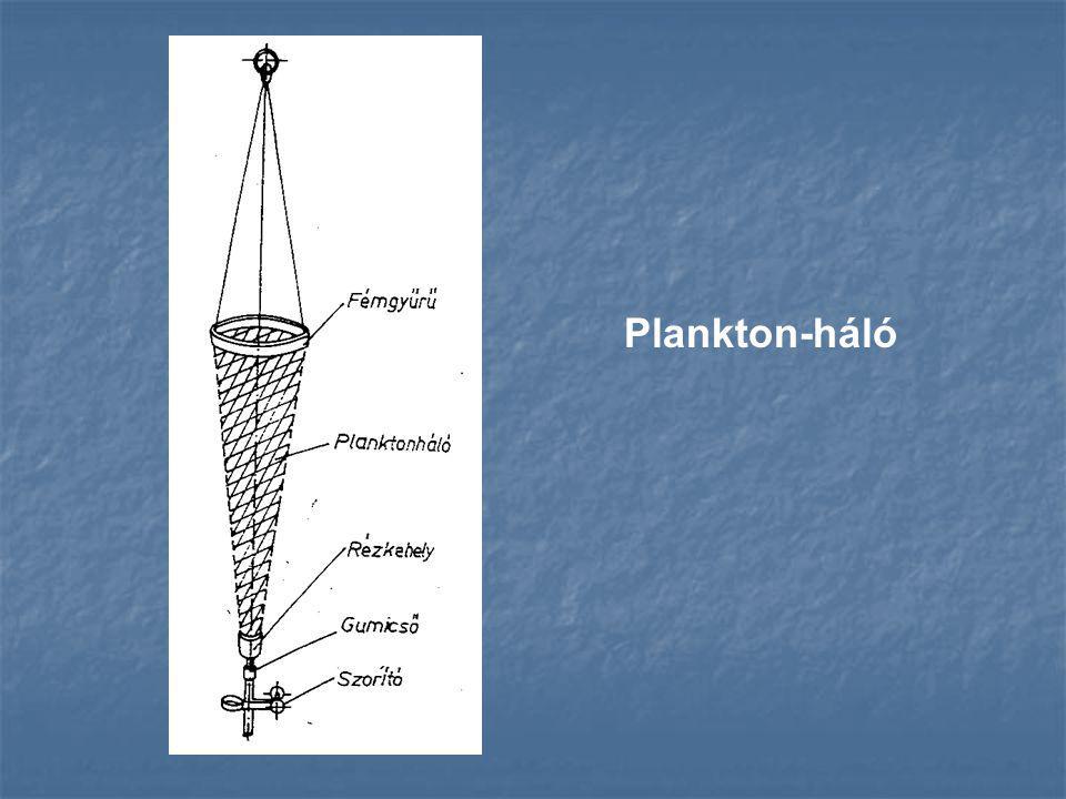 Plankton-háló