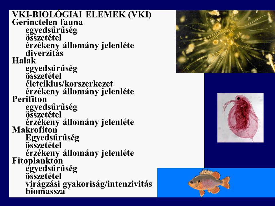 VKI-BIOLÓGIAI ELEMEK (VKI)