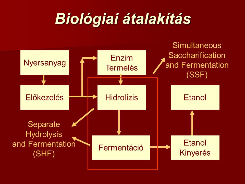 Biológiai átalakítás Simultaneous Saccharification and Fermentation