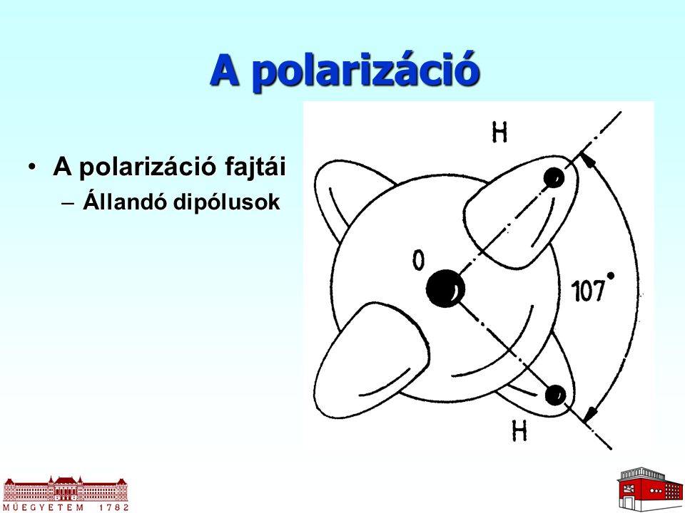 A polarizáció A polarizáció fajtái Állandó dipólusok