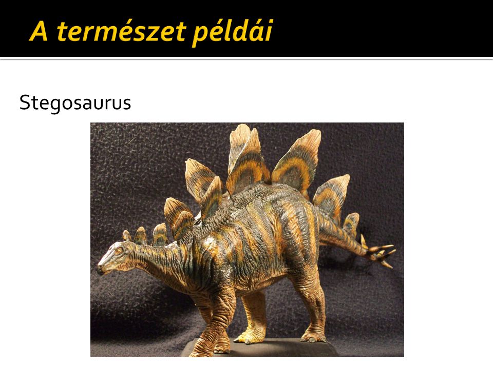 A természet példái Stegosaurus