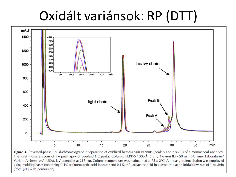 Oxidált variánsok: RP (DTT)