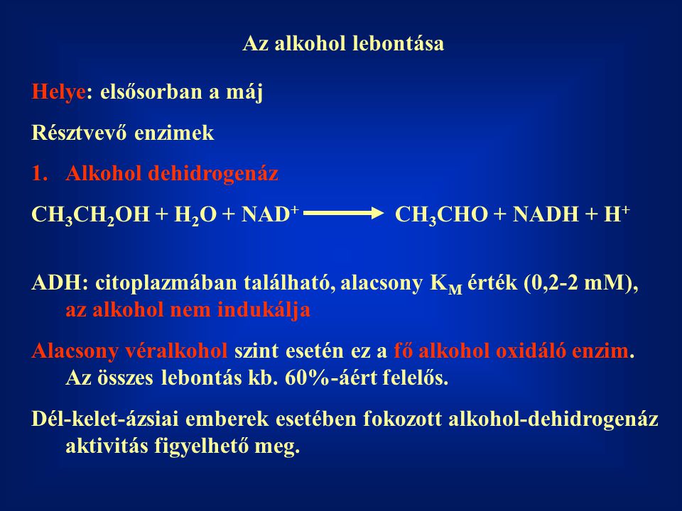 Az alkohol lebontása Helye: elsősorban a máj. Résztvevő enzimek. Alkohol dehidrogenáz. CH3CH2OH + H2O + NAD+ CH3CHO + NADH + H+