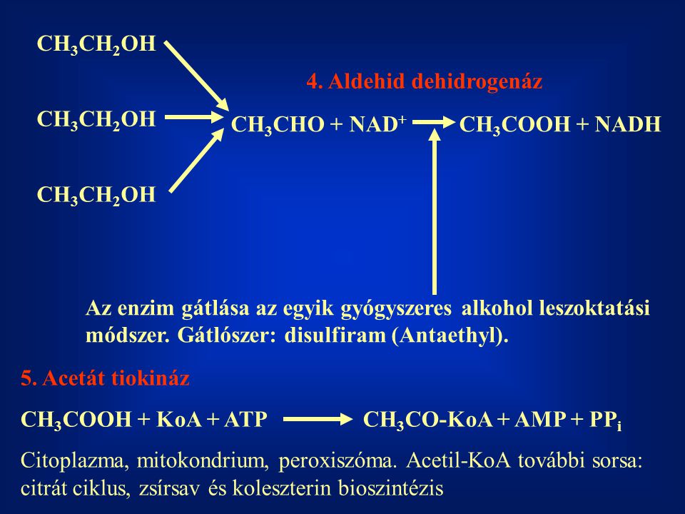 CH3CH2OH 4. Aldehid dehidrogenáz. CH3CH2OH. CH3CHO + NAD+ CH3COOH + NADH. CH3CH2OH.